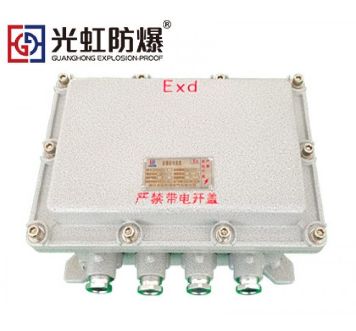 IIB隔爆型防爆接線端子箱空箱（IP54 T6）
